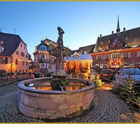 Terrasses Du Zimmerberg 아파트