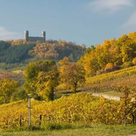 Terrasses Du Zimmerberg Barr
