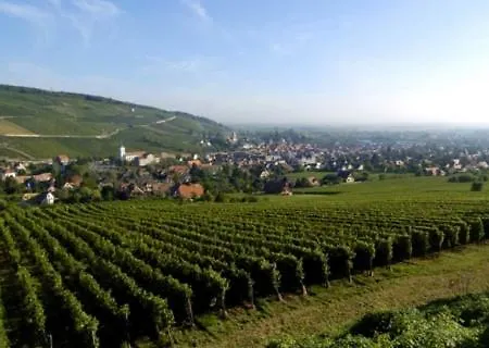 Terrasses Du Zimmerberg Lejlighed *