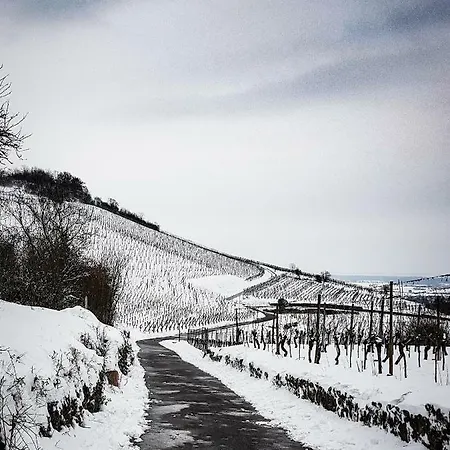 Terrasses Du Zimmerberg